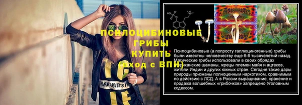 марки nbome Бородино